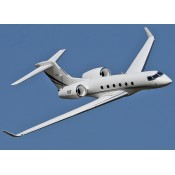 Freewing PJ50 Twin 70mm EDF Business Jet 